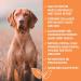 Pigs Ears Strips For Dogs Delicious Tasting Air Dried 500g - High in Protein Aids Muscle and Tissue Repair Contains Collagen for Healthy Coats and Skin. - Buy Online on GoSupps.com