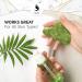 Jade Roller and Gua Sha Set for Face | Facial Beauty Tools for Skin Care | Jade Roller & GuaSha Massager - Buy Online on GoSupps.com
