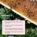 Gisou Honey Infused Hair Oil - 1.7 fl oz (Pack of 1) | Nourishing Hair Treatment - Buy Online on GoSupps.com