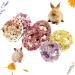 Buy Abiz 6-Pack Natural Luffa Rabbit Cake Toys for Guinea Pigs & Small Pets - Perfect for Hamsters Rabbits Rats & Chinchillas - Buy Online on GoSupps.com
