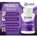 AOR - L-Carnitine 500mg 120 Capsules Pure L-Carnitine Tartrate Supports Energy Metabolism Muscle Recovery & Athletic Performance Promotes Fitness Goals L-Carnitine Capsules for Active Lifestyle - Buy Online on GoSupps.com