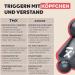 TMX Original Trigger Mixed Set - Premium Trigger Point Therapy Tool | Made in Germany | Self-Treatment for Tension | Real Beech Wood - Anthracite - Buy Online on GoSupps.com