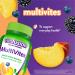 Vitafusion MultiVites Gummy Vitamins 150ct - Pack of 1 | 150 Count - Buy Online on GoSupps.com