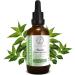 Buy Neem Aromatherapy Tincture 50 ml - Premium Vegan Azadirachta Indica Drops 1:4 Extract Made in Austria - Top Quality International Shipping - Buy Online on GoSupps.com