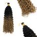 35.5cm Ombre Water Wave Crochet Hair Braiding Extensions 3 Pieces Black to Light Auburn Curly Weaving Hair Braids for International Shipping - Buy Online on GoSupps.com