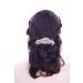 Hapibuy Crystal Wedding Hair Comb | Bridal Headpiece with Pearls | Silver Hair Accessories - Buy Online on GoSupps.com