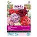 Buzzy Poppy Flowers Poppy Paeoniflorum Mixed
