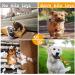 Durable Dog Chew Toys 6 Pack - Cotton Rope & Rubber Balls - Indestructible Toy for Small, Medium, Large Dogs - Tug of War & Fetching - Puppy Teething Toy & Boredom Gift - Buy Online on GoSupps.com