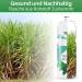 Hilo Sports 750ml Bicycle Bottle - BPA Free Leak-Proof Sugar Cane Material Flavor Neutral - White & Green - Buy Online on GoSupps.com