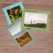 Golden State Art Pack of 25 Acid-Free Mix 5x7 Photo Mats with White Core - Bevel Cut for 4x6 Pictures - Premier 25 Pack Mix Color Mats - Buy Online on GoSupps.com