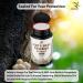 SMSHEALTHPRODUCTS.com Lion's Mane Pills Mushroom Cognition Capsules (60 Veggie Capsules) 30% Polysaccharides- Lions Mane Extract Capsules | Brain Supplement for Brain Health and Memory Support - Buy Online on GoSupps.com