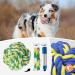 GASAPET Extra Large Dog Chew Rope Toys for Aggressive Chewers 5 Pack Durable Dog Balls for Medium Large Breeds Dental Cotton Dog Rope Toys Puppy Teething Chew Toys Interactive Dog Toys 5pcs Large - Buy Online on GoSupps.com