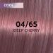 Shinefinity 04/65 Deep Cherry Hair Color - 60ml Shade | International Shipping Available - Buy Online on GoSupps.com