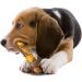 Nylabone Chew Toy for Extreme Chewers - Beef & Cheese Flavor Textured Bone | International Shipping Available - Buy Online on GoSupps.com