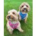 Bunty Tartan Small Dog Harness - Adjustable No Pull Puppy Harness for Small Dogs - Soft, Breathable, Anti-Pull - Red - Buy Online on GoSupps.com
