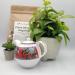 China Sencha Organic Green Loose Leaf Tea (200g) - Buy Online on GoSupps.com