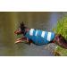 Cit toile Adjustable Dog Life Jacket - Best Buoyancy for Small to XL Dogs | Ideal for Swimming & Safety - Buy Online on GoSupps.com