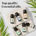 Top 6 Essential Oils Set for Aromatherapy - Eucalyptus Lavender Orange Peppermint Tea Tree (10ml) - Ideal for Diffusers Humidifiers Candle Making - Perfect Home Gift - Buy Online on GoSupps.com