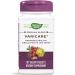 Nature's Way Varicare Premium Blend Promotes Healthy Leg Vein Circulation* Vegan 90 Tablets