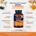 Organic Turmeric 2280mg with Black Pepper & Ginger - 180 Vegan Capsules | High Strength Curcumin Supplement | UK Made by Prowise Healthcare - Buy Online on GoSupps.com