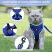 Adjustable Deep Blue Cat Dishes Set | Perfect for Cats & Kittens - International Shipping Available - Buy Online on GoSupps.com