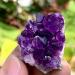 Natural Amethyst geode Quartz Cluster Specimen70-80g - Buy Online on GoSupps.com