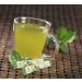Lean + Green Premium 100% Sencha Green Tea with Super Citrimax & Gymnema Sylvestre - 24 ct for Weight Management, Appetite Control, and Sugar Balance | Javita - Buy Online on GoSupps.com