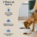 Goats Milk Powder for Dogs & Cats | Create Delicious Goats Milk | Each Pack Makes 6 Pints - Buy Online on GoSupps.com