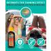Caribbean Breeze Dark Tanning Lotion SPF 4 - Outdoor Sun Accelerator with Mango Lime Fragrance & Antioxidants | 8.5 oz - Buy Online on GoSupps.com