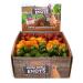 Pawtato Knots Small - Mixed Case Vegan dog Chews. Natural rawhide alternative dog treat. Low fat plant based hypoallergenic sweet potato chews 1.6kg Green/Orange/Red Sweet Potato 1.6 kg (Pack of 1) 1