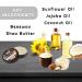 Solid Cologne Men's Gentlemen's Bourbon Scent Wax Bourbon Cologne for men Solid Perfume with Bourbon Scent for men (1 Ounce Gentlemen's Bourbon Mens Cologne Balm) - Buy Online on GoSupps.com
