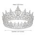 AW BRIDAL Crystal Wedding Tiara Crown - Rhinestone Queen Crown for Women - Silver Bridal Party Hair Accessory - Buy Online on GoSupps.com