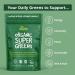 BodyMe Organic Vegan Greens Powder - Vegan Superfood Blend of Wheatgrass Moringa Spirulina Ashwaganda and Other Organic Ingredients - Quick & Easy Nutrients 504g 504 g (Pack of 1) - Buy Online on GoSupps.com
