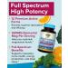 Terranics 12-in-1 Magnesium Complex 500mg, High Absorption Chelated Magnesium Glycinate, Citrate, Malate, Taurate, Orotate & More, for Sleep, Calm, Energy, Heart, Vegan, Non-GMO,120 Capsules - Buy Online on GoSupps.com