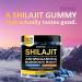 BIZYAC Organic Shilajit Gummies for Men and Women with Sea Moss & Ashwagandha 100% Himalayan Extract with 105+ Trace Minerals Burdock Root & Lion s Mane Vegan Sugar-Free 60 Gummies - Buy Online on GoSupps.com