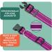 Buy Dey Premium Reflective Dog Collar - Adjustable Nylon for Small & Large Dogs - Multiple Colors & Sizes - Purple S (1.5 x 27-37 cm) - Durable & Stylish Cat & Puppy Neck Strap - Buy Online on GoSupps.com