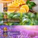 6-Piece Essential Oils Set for Aromatherapy & Massage - Peppermint, Tea Tree, Lavender, Eucalyptus, Lemongrass, Sweet Orange (5ml) - Buy Online on GoSupps.com
