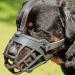Barkless dog muzzle soft silicone muzzle for dogs bite chew and bark enables drinking and panting used with collar 1 (snout 6 -7 ") Black