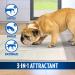 OUT! Heavy Duty XXL Dog Pads - 30 Absorbent Pet Training Pads | 26 x 30 Inches - Buy Online on GoSupps.com