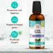 GuruNanda CocoMint Oil Pulling Mouthwash for Complete Oral Hygiene 7 Essential Oils & Vitamins for Happy Teeth & Gums & Fresh Breath Alcohol-Free 16 oz 16 Fl Oz (Pack of 1) 1 Pack - Buy Online on GoSupps.com