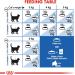 Royal Canin Cat Food Indoor 27 Dry Mix 2 kg 2 kg (Pack of 1) - Buy Online on GoSupps.com