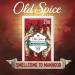 Buy Old Spice Wild Collection Bearglove Men's Bar Soap - 2 Count | International Shipping Available - Buy Online on GoSupps.com