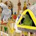 MEWTOGO Large Winter Warm Bird Nest House - Cozy Parrot Bed for Cage | Hanging Hammock for Parakeets, African Grey, Cockatoos, Cockatiels & Lovebirds - Buy Online on GoSupps.com