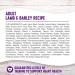 Wellness Natural Pet Food - 5 lbs. Lamb & Barley Dry Dog Food - Buy Online on GoSupps.com