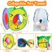 SUPJADE Cat Kitten Toys Interactive-Feather-Toys- 37Pcs Kitten Mice Toys Sets for Indoor Cats Kitten Tunnel Mice Mouse Wand Springs Teaser Toys Kitty (1#) - Buy Online on GoSupps.com