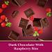 GHIRARDELLI Intense Dark Chocolate Bar Raspberry 3.5 oz (Pack of 2) Bundle With Snack Scout Lunch Bag - Buy Online on GoSupps.com