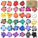 KYONANO Candle Dye 34 Colors Set for Making 67 lb Wax  Candle Color Dye for Soy Wax& More Vegetable Wax Dye Candle Dyes for Candle Making Candle Color Dye for DIY High Safety  Easy-Cleaning & Portable