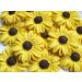 9x Sunflowers Cake Toppers Edible Sunflower Birthday Wedding Cake Cupcake Decorations - Buy Online on GoSupps.com