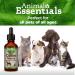 ANIV Animal Essentials Milk Thistle Supplement 1 oz (2 Pack) for Dogs and Cats - Buy Online on GoSupps.com