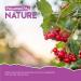 Cranberry Gummies 1000mg - Organic Cranberry Extract Supplement - 60 Vegan Gummies - Kosher Halal - Buy Online on GoSupps.com